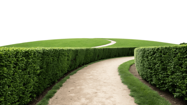 Pathway through lush hedges leading to green hill png