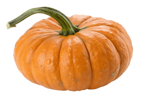 Bright orange pumpkin with textured skin png
