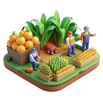Farm Workers Harvesting Fresh Produce png
