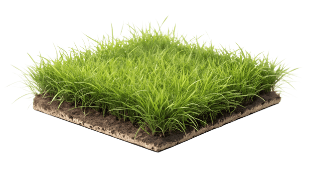 Realistic turf mat with lush green grass png