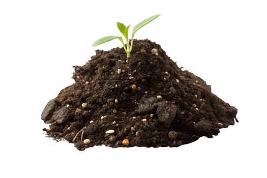 New plant sprout emerging from rich soil png