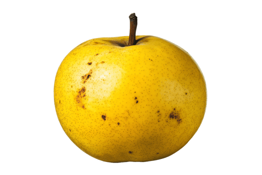 Fresh yellow apple resting on a white surface png