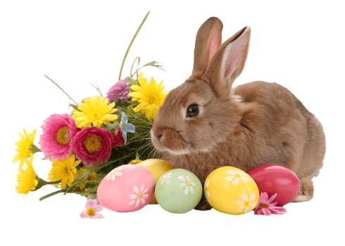 Brown rabbit with colorful Easter eggs and flowers png
