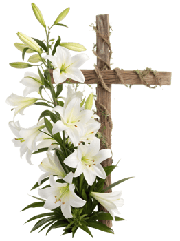 Elegant white lilies arranged with wooden cross png