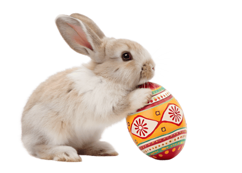 Cute bunny with colorful Easter egg in spring png