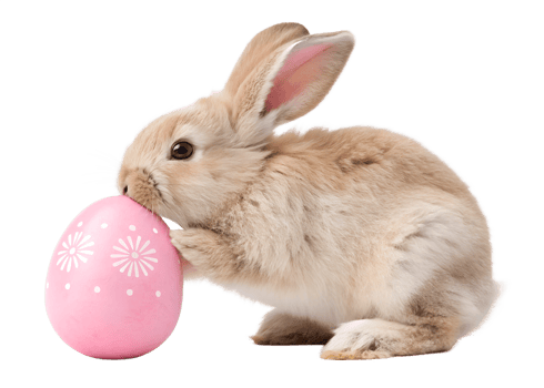 Cute bunny with a pink easter egg in springtime png