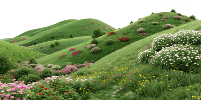 Blooming flower hills in spring png