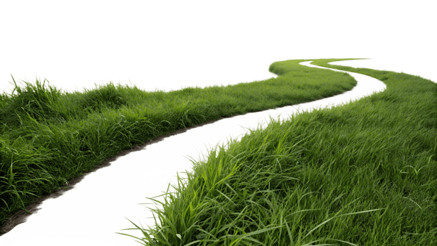 Winding path through lush green grass landscape png