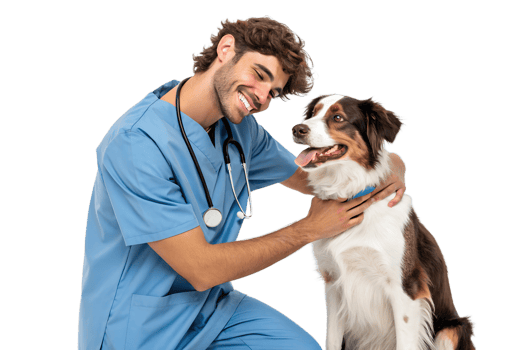 Vet smiles while caring for a friendly dog indoors png