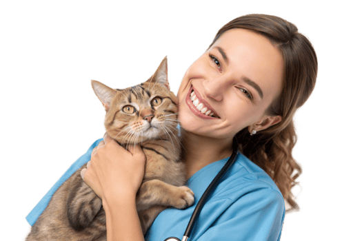 Vet technician happily holds a cat in care setting png