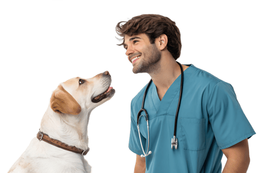Smiling veterinarian interacts with a friendly dog png
