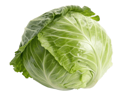 Fresh green cabbage with crisp leaves at market png