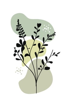 Botanical leaves with tones hand drawn. illustration vector