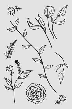 Hand-drawn botanical line art featuring flowers, leaves, and wildflowers. vector