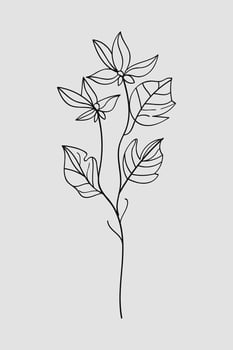 Botanical leaves and flowers nature. illustration. vector