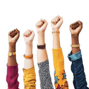diverse hands raised high in unity isolate on transparent background png