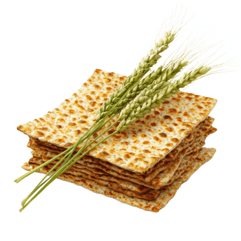 matzah and wheat on a transparent background png