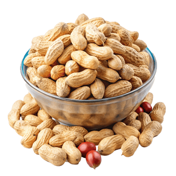 A Bowl of Roasted Peanuts with Some Scattered Around and Two Red Fruits png