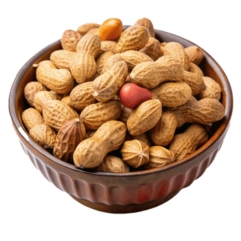 A Bowl of Roasted Peanuts Ready to Eat Delicious and Crunchy png