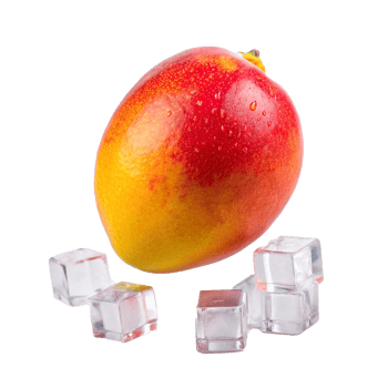 A single ripe mango with water droplets surrounded by ice cubes on a white background png