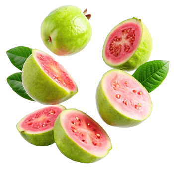 Delicious and Juicy Guavas Falling in the Air Showing Their Vibrant Pink Flesh and Green Skins png