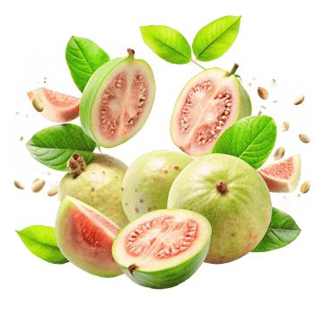 Fresh Juicy Guavas with Green Leaves and Seeds in a Vibrant Display png