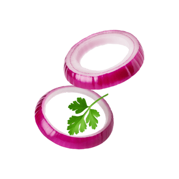 Onion sliced with coriander leaf on transparent background png