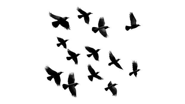 Flock of birds in flight against white background png