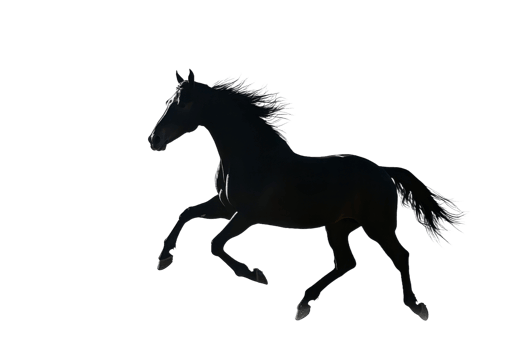 Black horse runs gracefully on white png