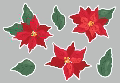 Poinsettia stickers set. Christmas flowers vector