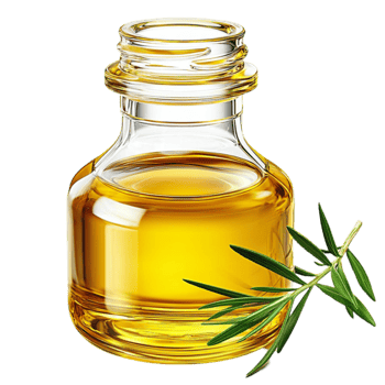 Glass bottle filled with golden olive oil is paired with rosemary sprigs png