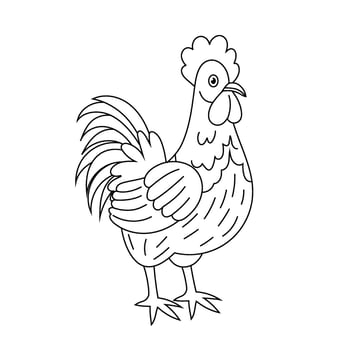Rooster doodle illustration. Domestic farm bird. Symbol early morning. Kids illustration for colouring page. vector