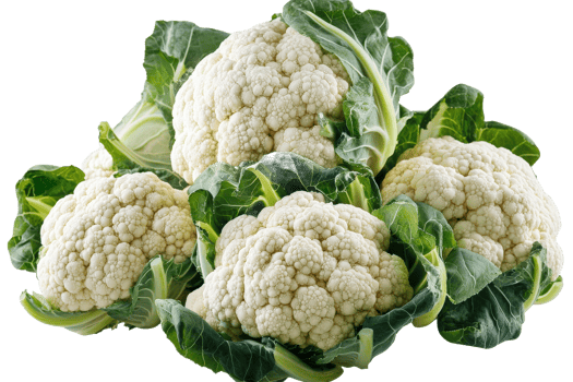 Fresh cauliflower heads arranged for culinary use png