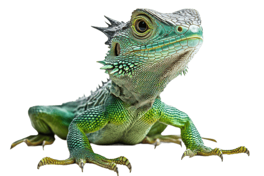 Green lizard highlights unique features and colors png