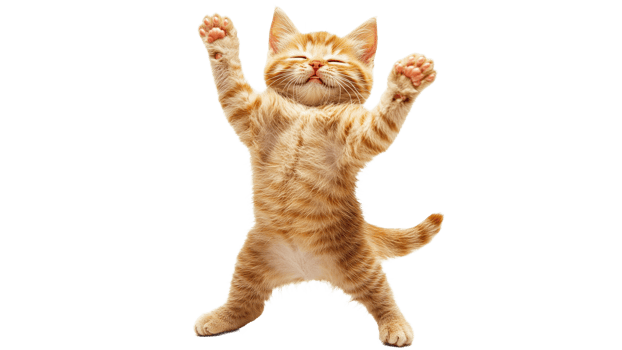 Playful orange kitten enjoying a happy moment png