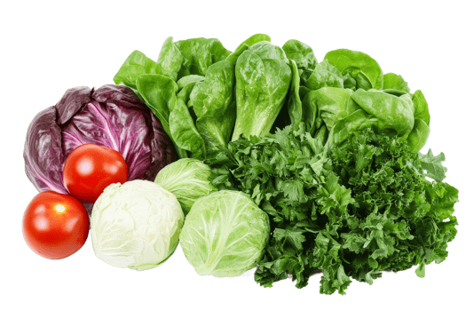 Fresh veggies on white background png