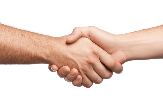Professional handshake between two people png