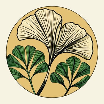 Elegant Ginkgo Biloba Leaf Botanical Illustration in Circle Frame vector