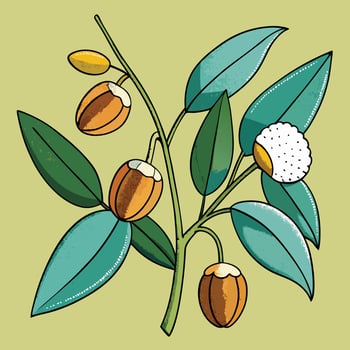 Vibrant Botanical Illustration of Exotic Fruiting Branch with Lush Green Leaves and Orange Berries vector