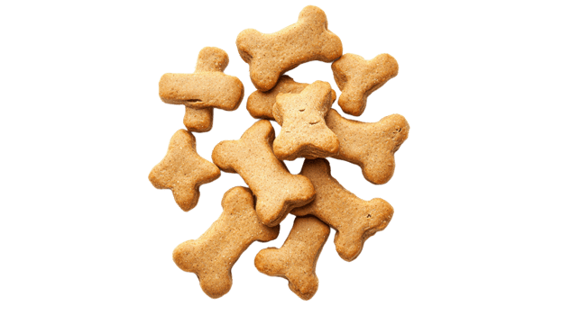 Treats shaped like bones for pets and dogs png