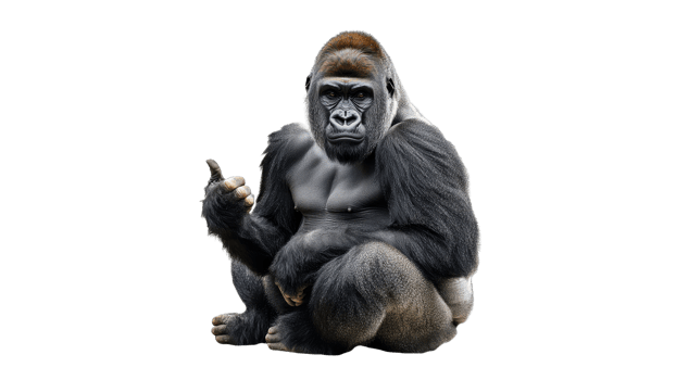 Gorilla giving a thumbs up in a relaxed pose png
