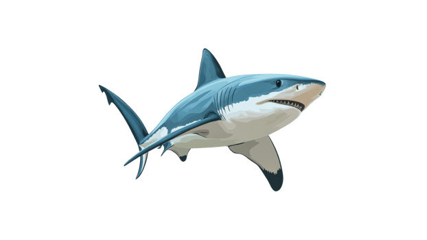 Great white shark swimming in ocean waters png