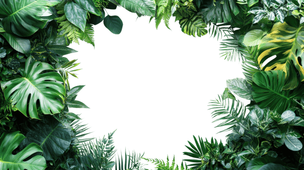 Nature framed by lush green plants clean png