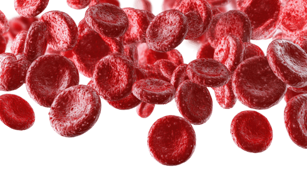 Dynamic red blood cells in motion scientific study laboratory png
