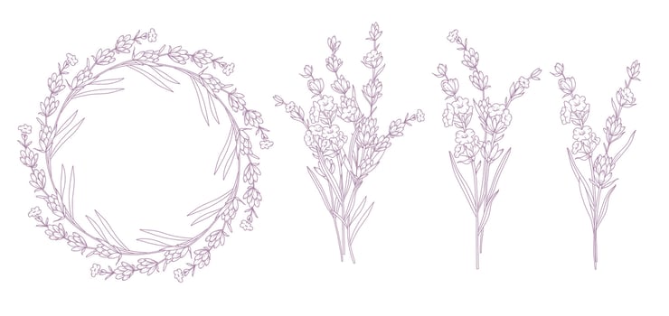 Lavender Isolated Line Drawing. Outline Lavender illustration. Hand Drawn lavener. Black and white Flowers. Monochrome Floral Line Art. Botanical Coloring. Lavender Wedding vector