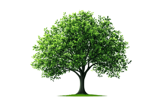 Vibrant green tree standing tall in sunlight transparent png