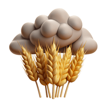 3D Wheat and Cloud Illustration png