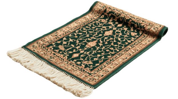 Beautiful green area rug cozy traditional interior design png