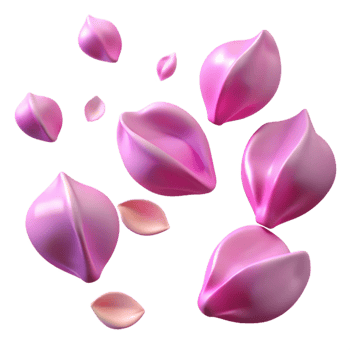 Pink Petals 3D Illustration png