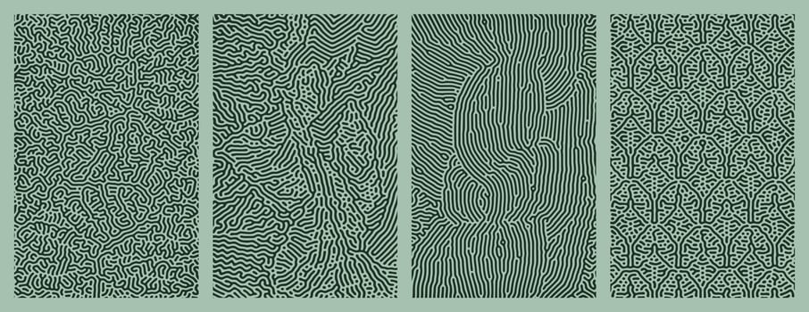 A collection of abstract green organic line turing patterns perfect for backgrounds vector